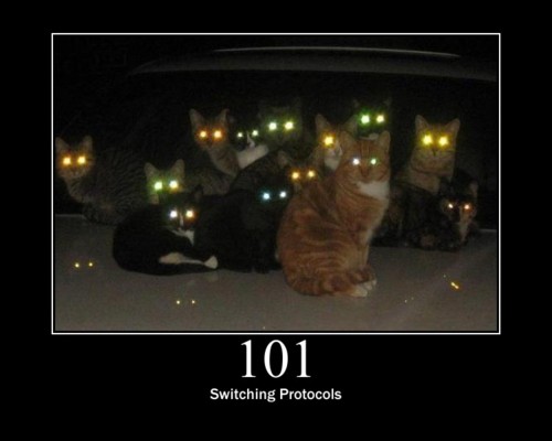 101 Switching Protocol- This means the requester has asked the server to switch protocols and the server is acknowledging that it will do so.