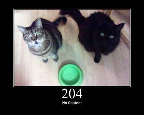 204 No Content - The server is not returning any content after successfully processing the request.
