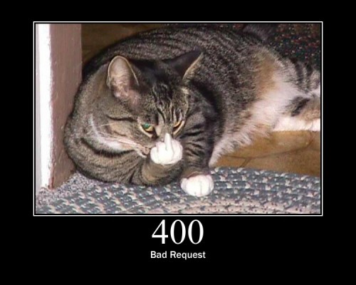 400 Bad Request - Due to Bad Syntax, the request could not be filled.