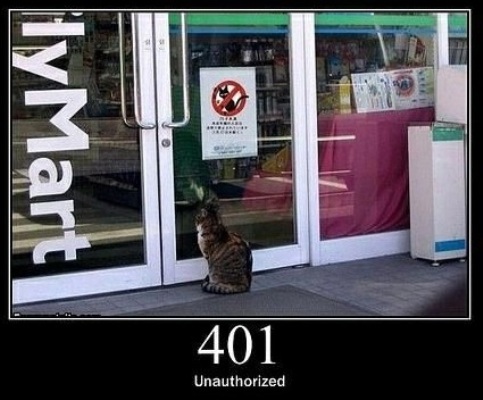 401 Unauthorized-   When authentication is required and has failed or has not yet been provided.