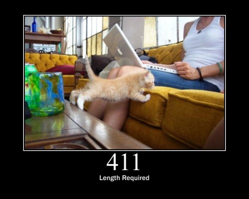 411 Length Required  The request did not specify the length of its content, which is required by the requested resource.