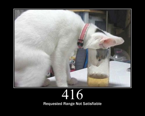 416 Requested Range Not Satisfiable  The client has asked for a portion of the file, but the server cannot supply that portion.
