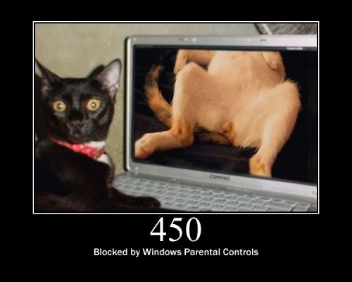 450 Blocked by Windows Parental Controls  A Microsoft extension.