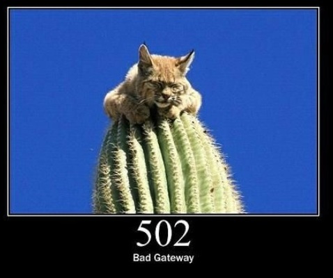 502 Bad Gateway  The server was acting as a gateway or proxy and received an invalid response from the upstream server.
