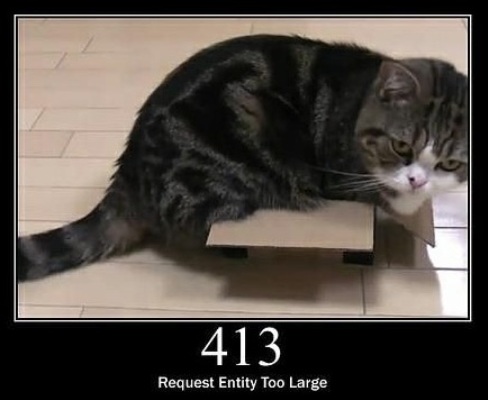 413 Request Entity too Large  The request is larger than the server is willing or able to process.