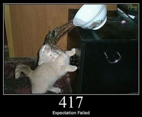 417 Expectation Failed  The server cannot meet the requirements of the Expect request-header field.