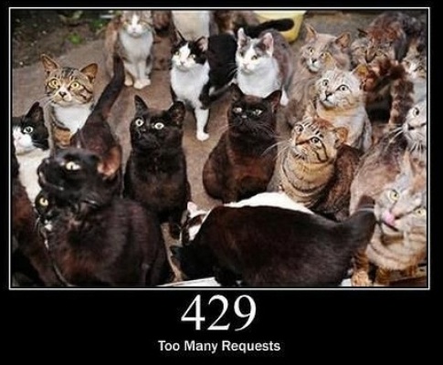 429 Too Many Requests  The user has sent too many requests in a given amount of time.