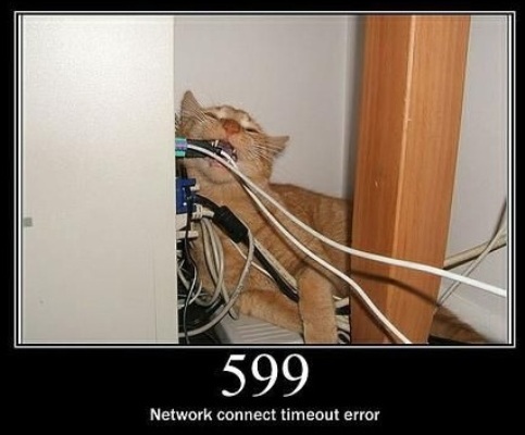 599  Network connect timeout error  This status code is not specified in any RFCs, but is used by Microsoft Corp.